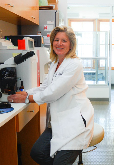 Dr. Jan Cailles